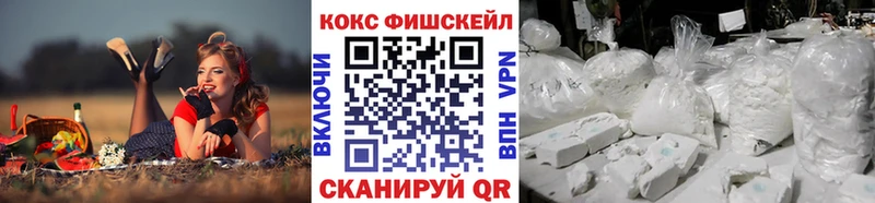 где можно купить   Шахунья  Cocaine VHQ 