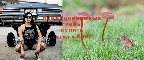 ALPHA PVP Богородск