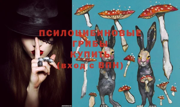 ALPHA PVP Богородск