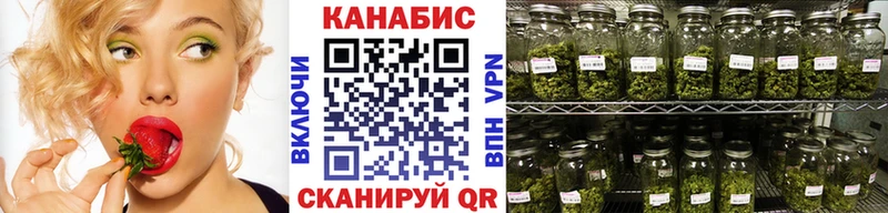 Канабис AK-47  darknet официальный сайт  гидра tor  Шахунья  где можно купить  
